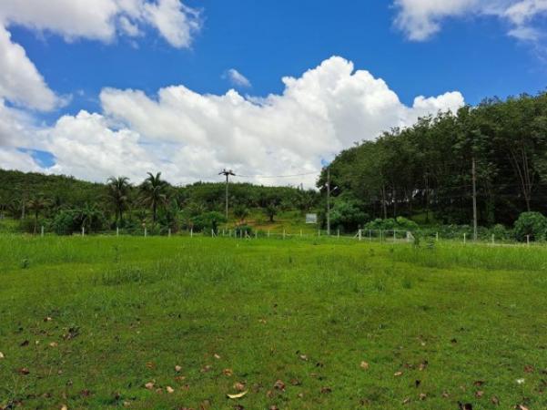 ��·��Թ ��ҧ ����