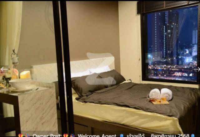 �͹���ͧ��� ���¢�ҧ