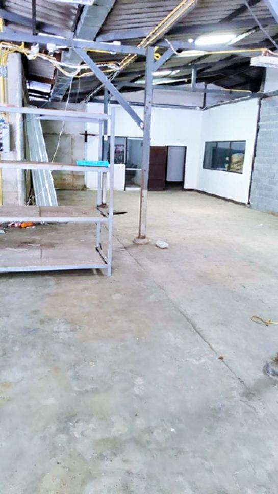 ⡴ѧ������ �ҧᤡ�ا෾