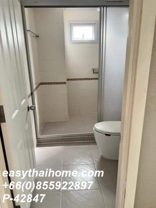 �͹ⴾ����������� ���¢�ҧ