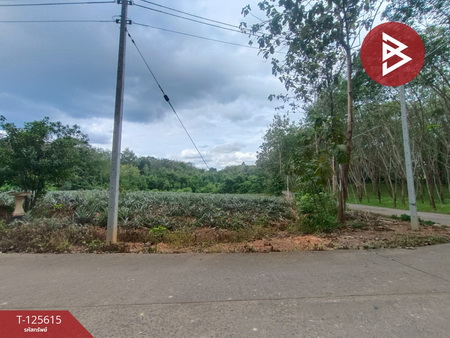 ��·��Թ ���ͧ��Ҵ��Ҵ