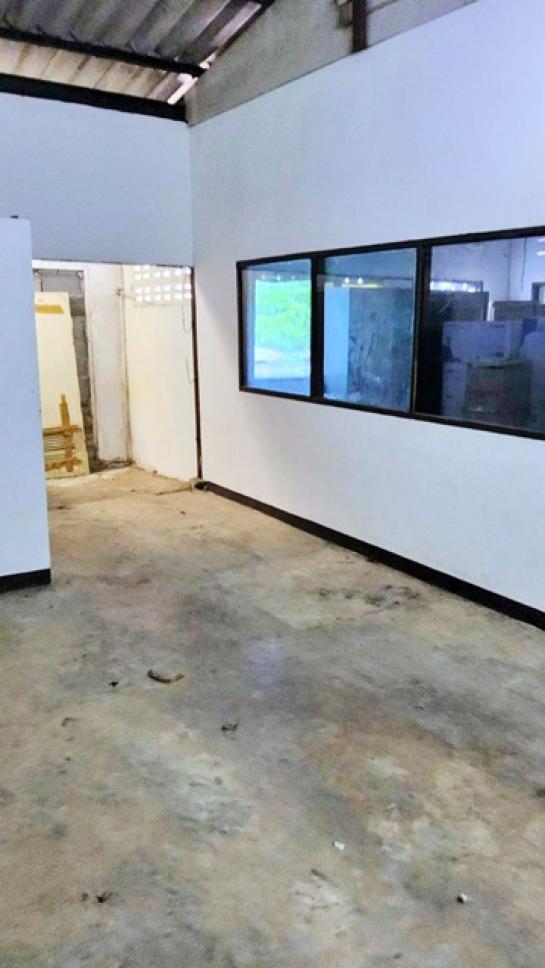 ⡴ѧ������ �ҧᤡ�ا෾