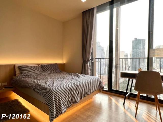 ��¤͹� 31���