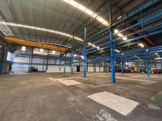 ����ç�ҹ �ҧ�����طû�ҡ��