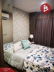 ��¤͹� ������