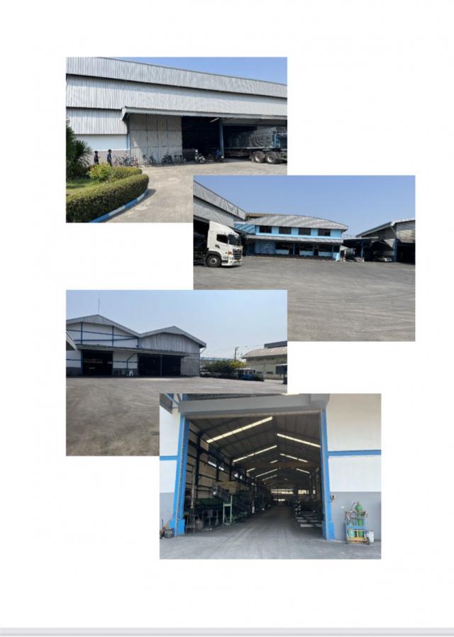 ����ç�ҹ �ҧ�����طû�ҡ��