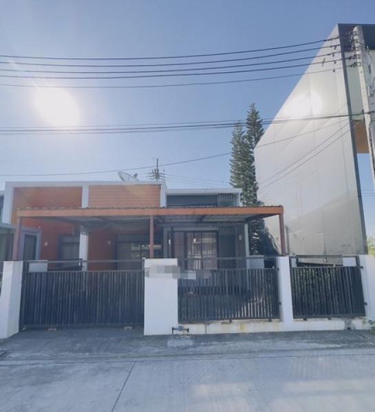 ����� �� panaya.opalopal