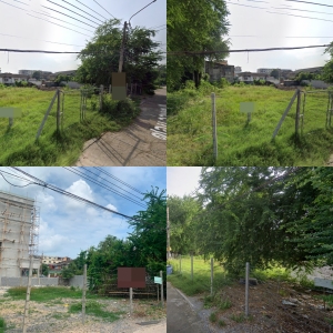 �ǹ��ǧ �� All Living