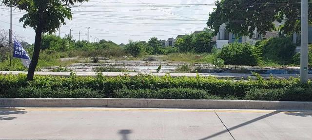 ���Թ 13 ���