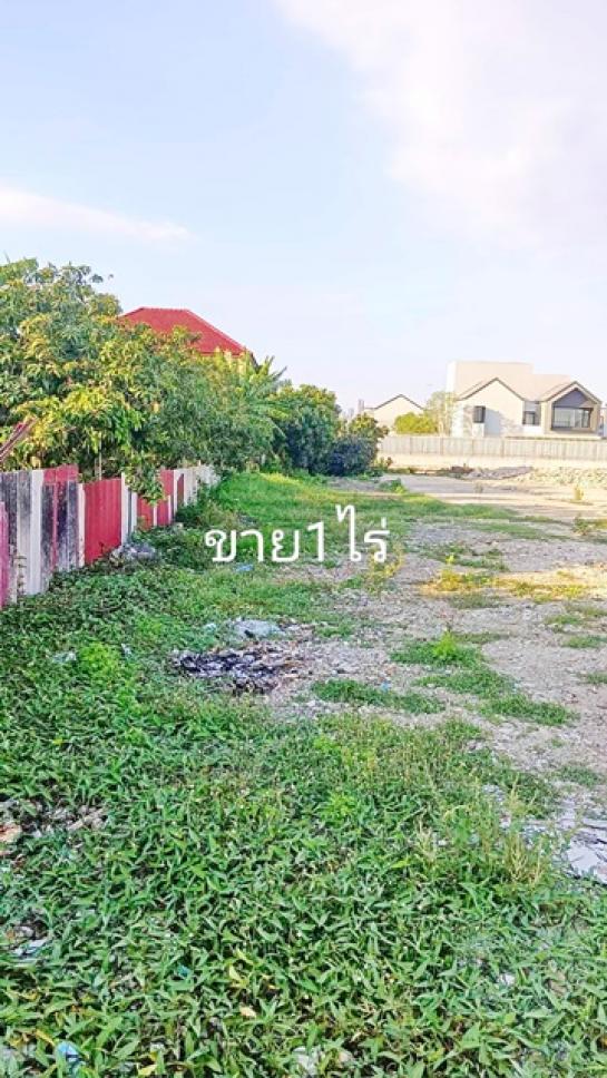 ���Թ �оҹ�٧