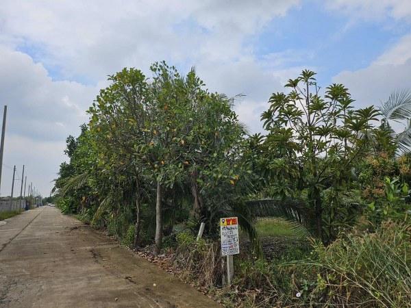 ที่ดิน แฝด ที่ดิน แฝด