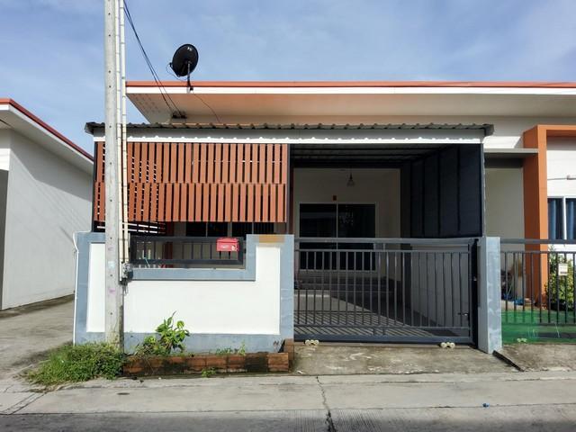 �Ԥ��Ѳ�� �� panaya.opalopal