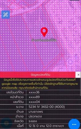 ���Թ 13 ���