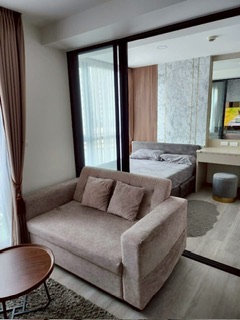 �͹���ͧ��� ���¢�ҧ