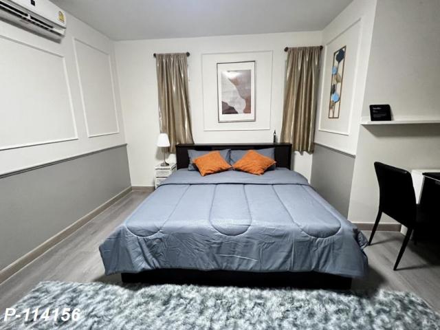 ��¤͹� 31���