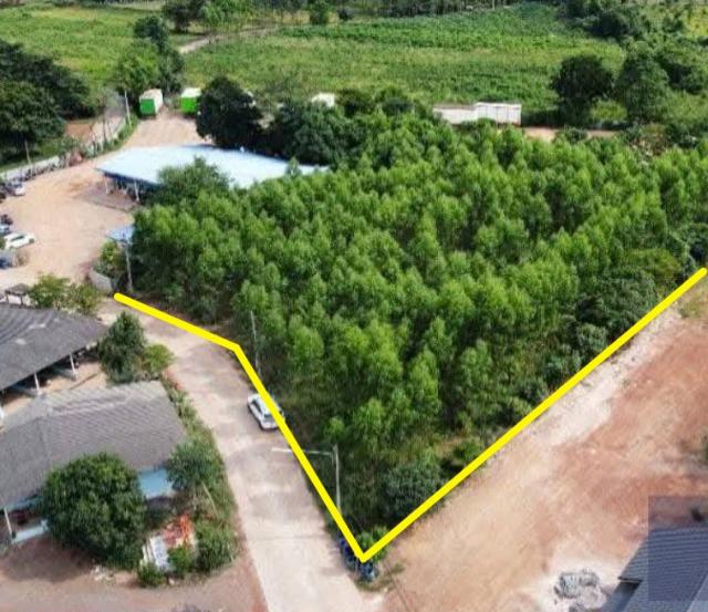 ���Թ �Դ����͹��յ 3,500,000 �ҷ