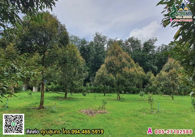 ���Թ ���ǹ �����¹