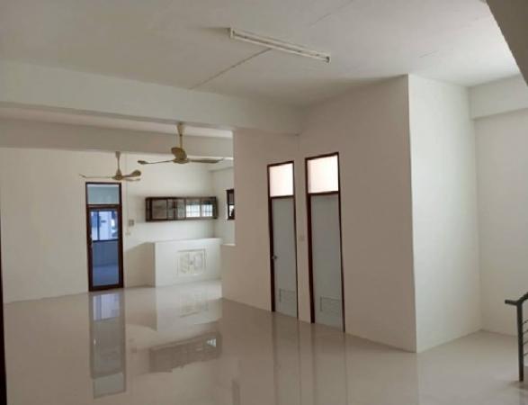 ⡴ѧ������ ����ͧ