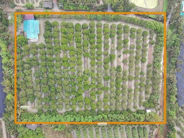 �����ҹ �� central2