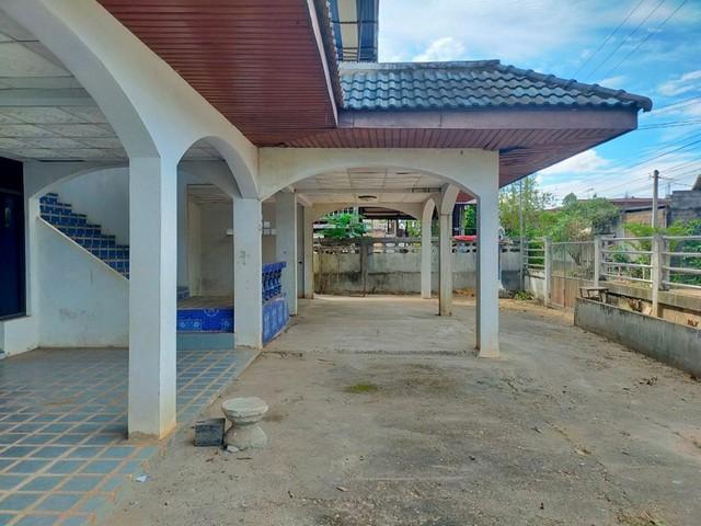 ��º�ҹ �����ҹ�þ��