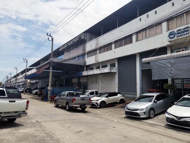 ����ç�ҹ �ҧ�����طû�ҡ��