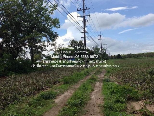 ��¸�áԨ �ŧ���ͧ