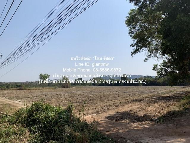 ��¸�áԨ �ŧ���ͧ