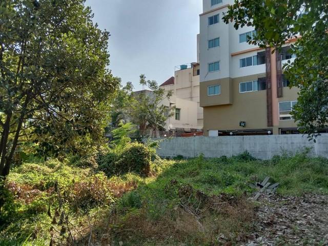 ����Ѳ�� �� coasset22