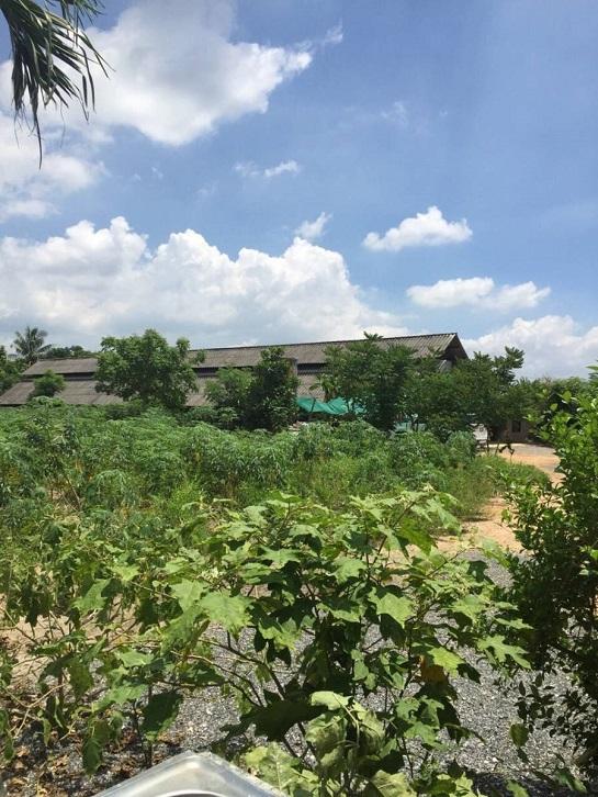 ���Թ��Шѹ��� �ź���