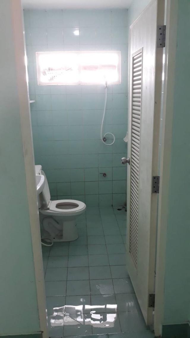 ��º�ҹ ͧ��ѡ�칤ù�¡