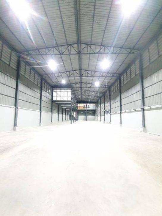 ⡴ѧ������ �ѹ����ǡ�ا෾