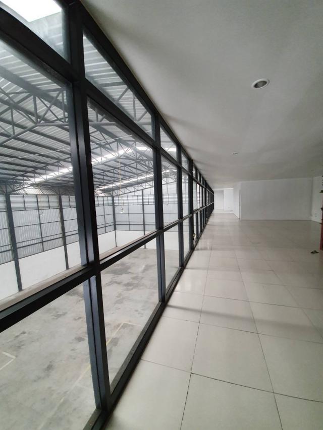 ⡴ѧ������ �ѹ����ǡ�ا෾