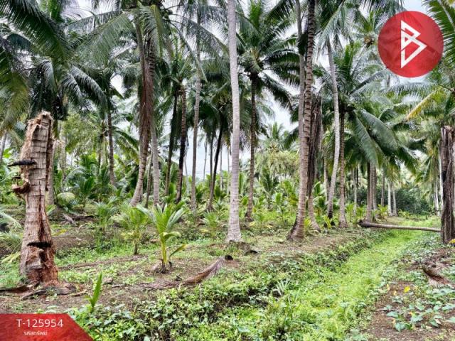 ��ط�ʧ���� �� The Best Property Agent