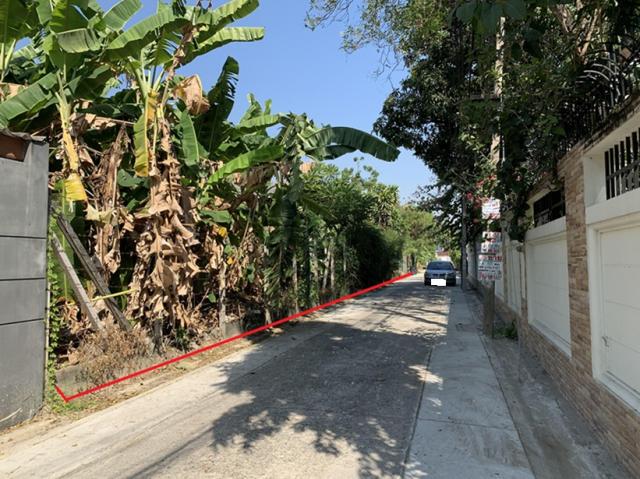 ��·��ԹBTS���