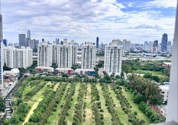 �͹�����ͧ��俿�Ҥú ���¢�ҧ