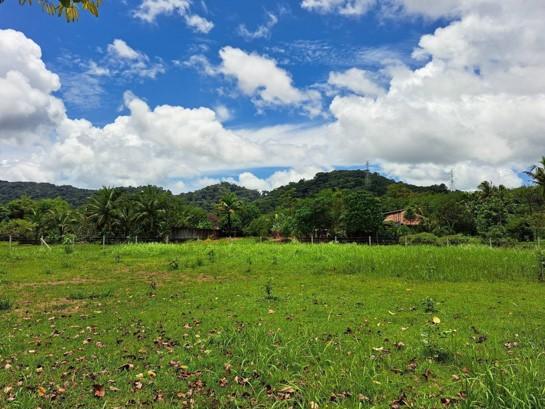 ��·��Թ ��ҧ ����