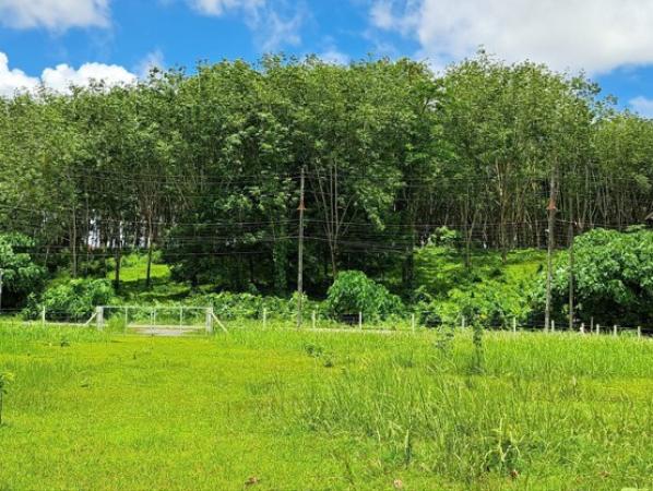 ��·��Թ ��ҧ ����