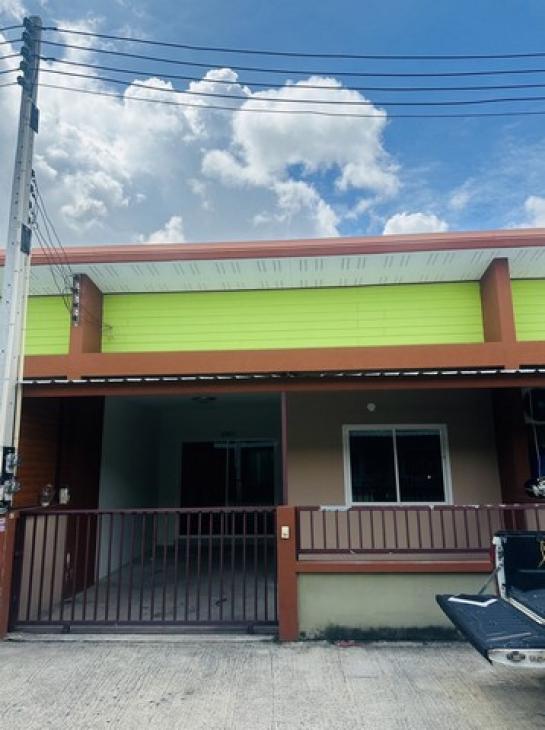 ����� �� panaya.opalopal