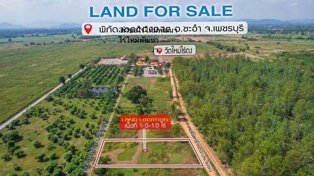 ����Թ �� sopa