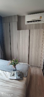 �͹� �ҧ�� 27 ���ҧ����