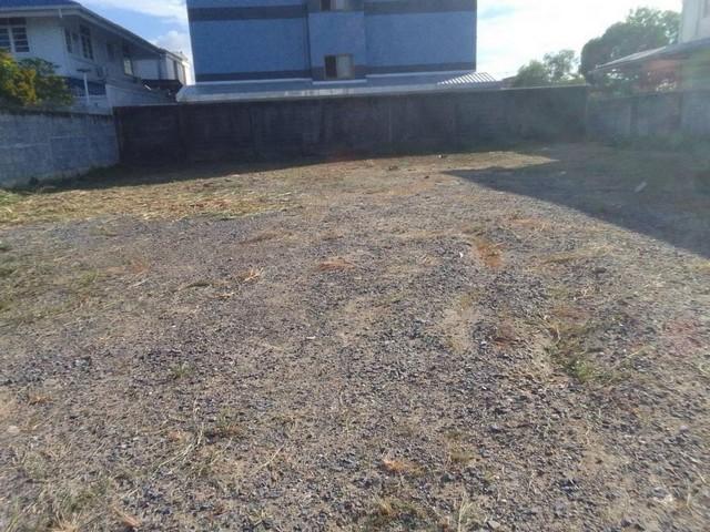 ���Թ ����������