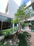 ��ҹ������ 90,000 �ҷ/��͹