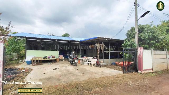 ���Թ�Ҵ��кѧ ��ا෾��ҹ��