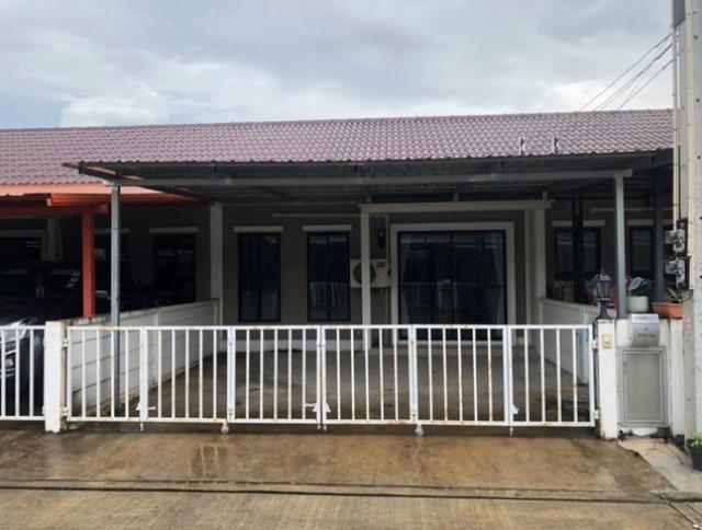 �Ԥ��Ѳ�� �� panaya.opalopal