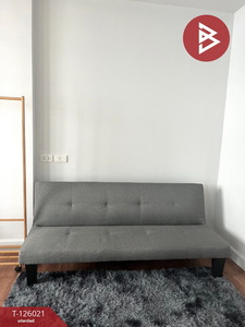 ��¤͹� ���ͧ���ԧ��ҩ��ԧ���