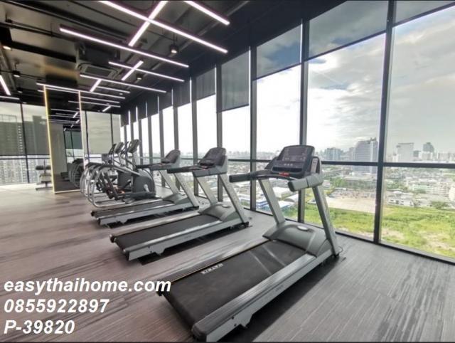 �͹���Թ ���ͧ��طû�ҡ��