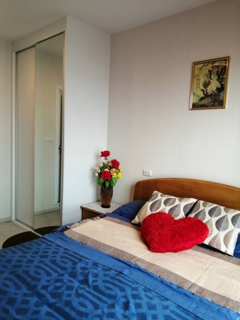 ��¤͹� �ҧ�˭蹹�����