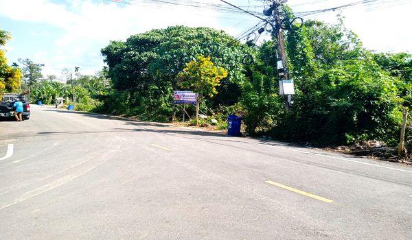 ���Թ ��ѧ