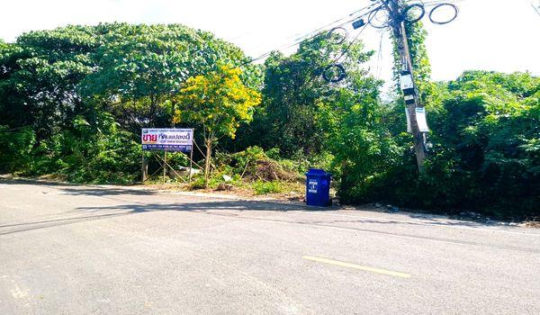 ��·��Թ ��ҹ�Ң�ǵ�ѧ