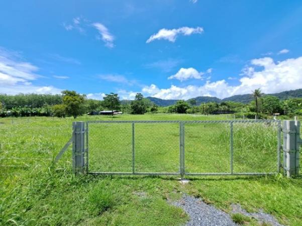 ��¤͹� ��ҧ����